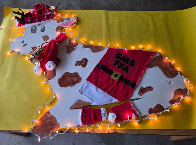 Harry the Cow decorated with lights