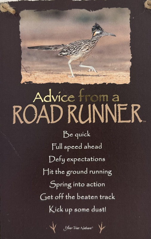 road runner