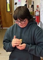 Student holding a baby chick