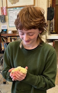 Student holding a baby chick