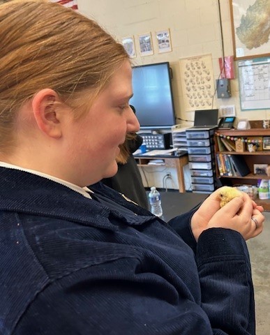 Student holding a baby chick