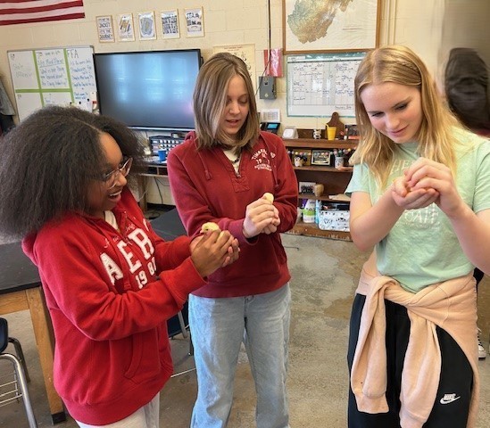 Three girls holding baby chicks