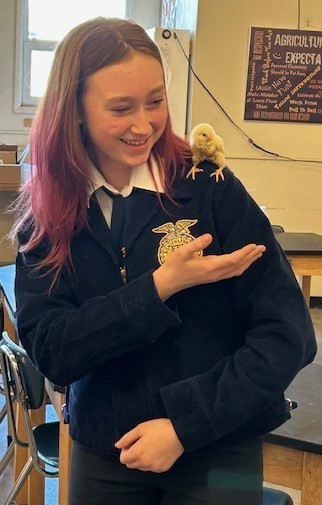 Student with a baby chick on her shoulder