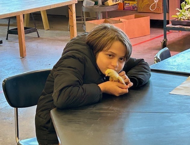 Student with a baby chick