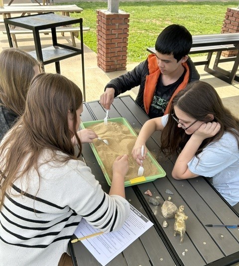 Students digging in the sand to look for rocks
