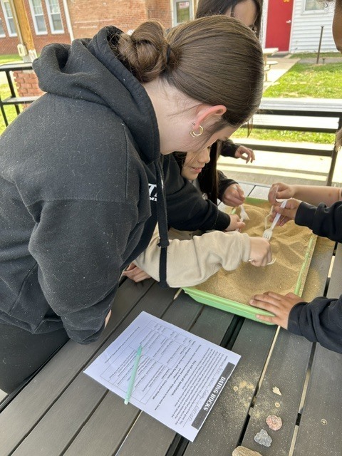 Students digging in the sand to look for rocks