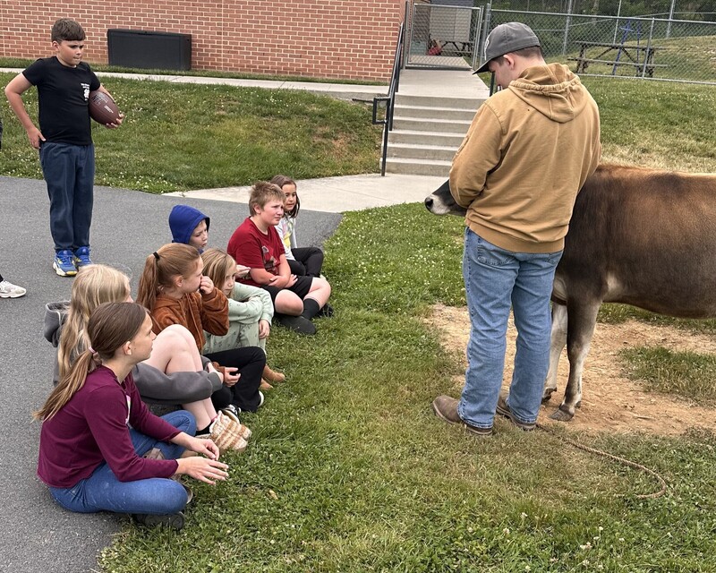 students listening about the animals