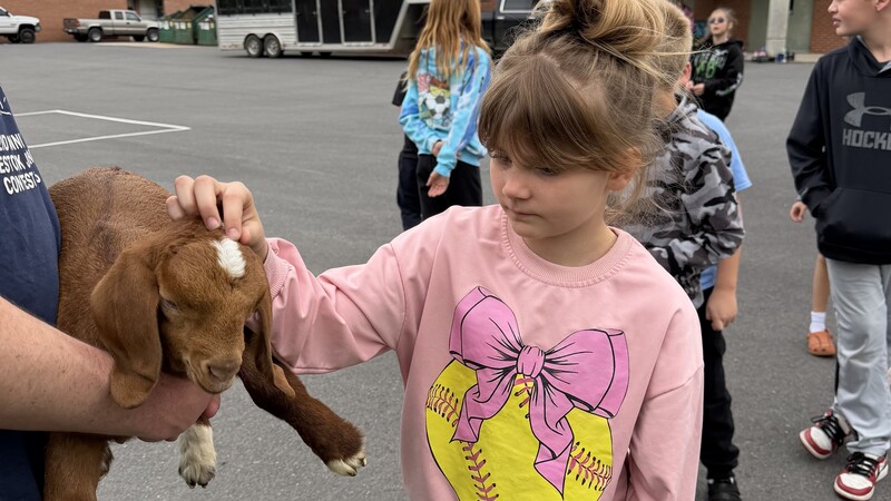 student petting the baby goat