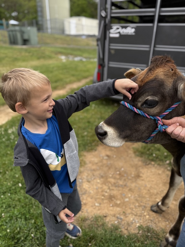 students listening about the animals