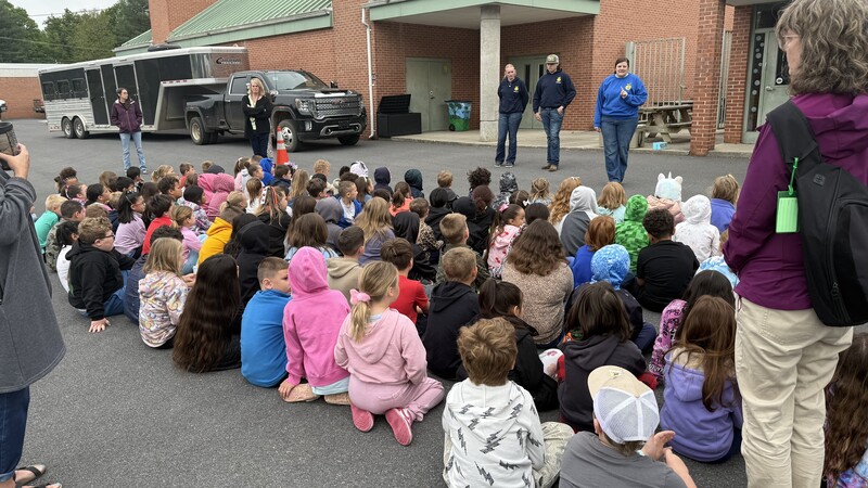 students listening about the animals