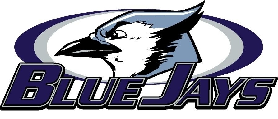 Bluejay Head