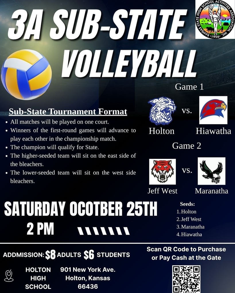 Sub-State VBall Flyer