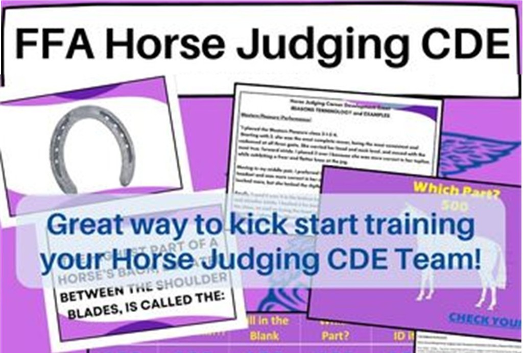 FFA Horse Judging CDE