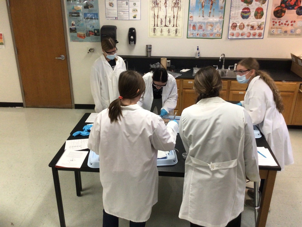 Mrs. Magill First Semester