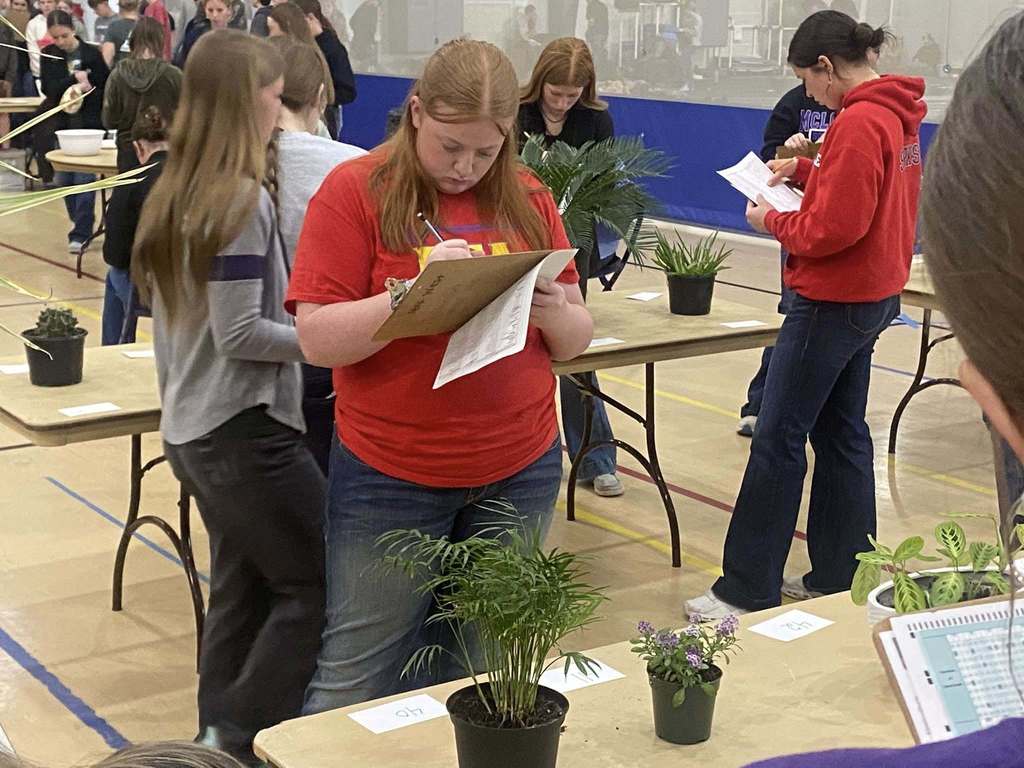 Northeast District Super CDE Day