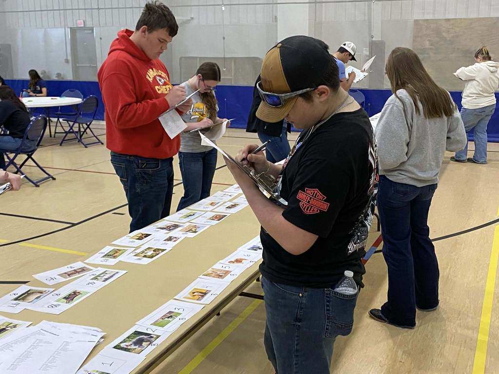 Northeast District Super CDE Day