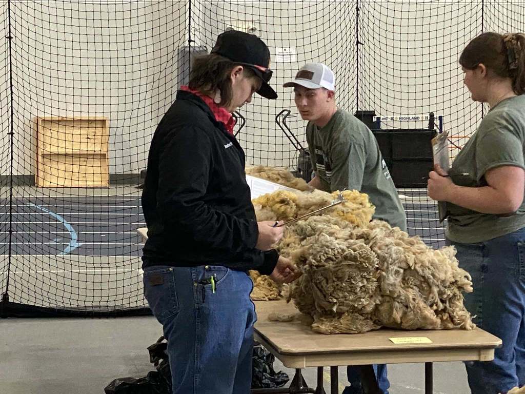 Northeast District Super CDE Day