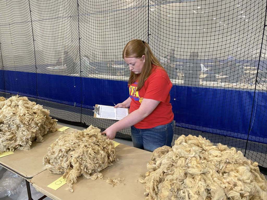 Northeast District Super CDE Day