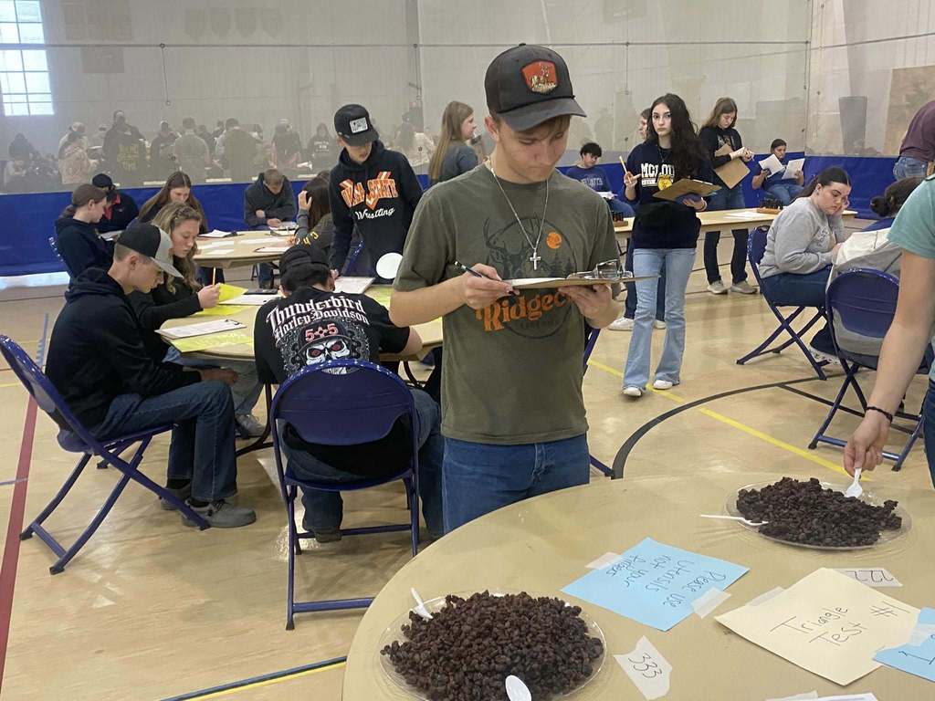 Northeast District Super CDE Day