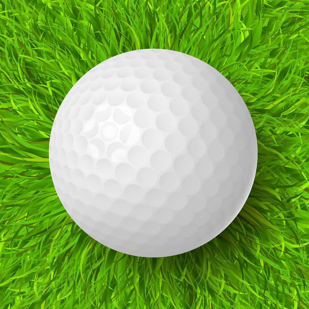 Boys Golf