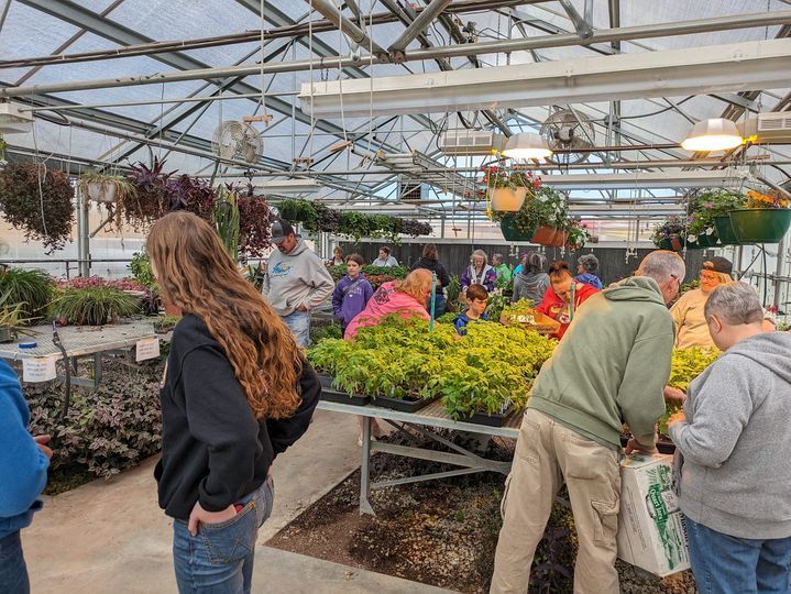 Greenhouse