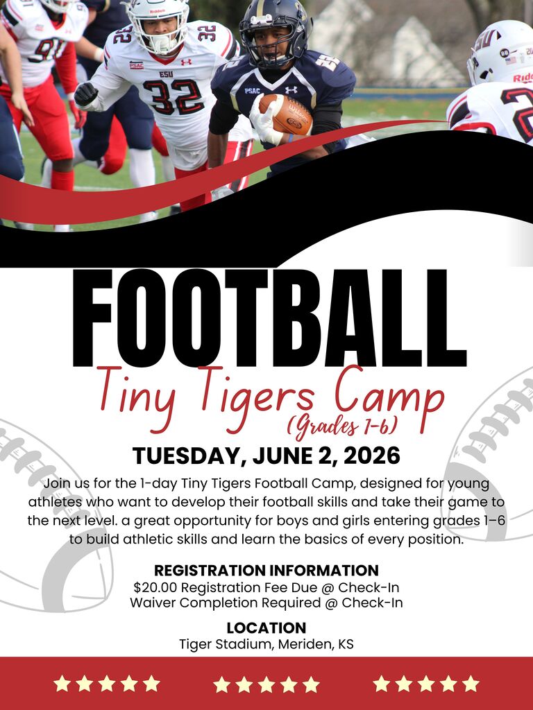 Tiny Tigers Football Camp