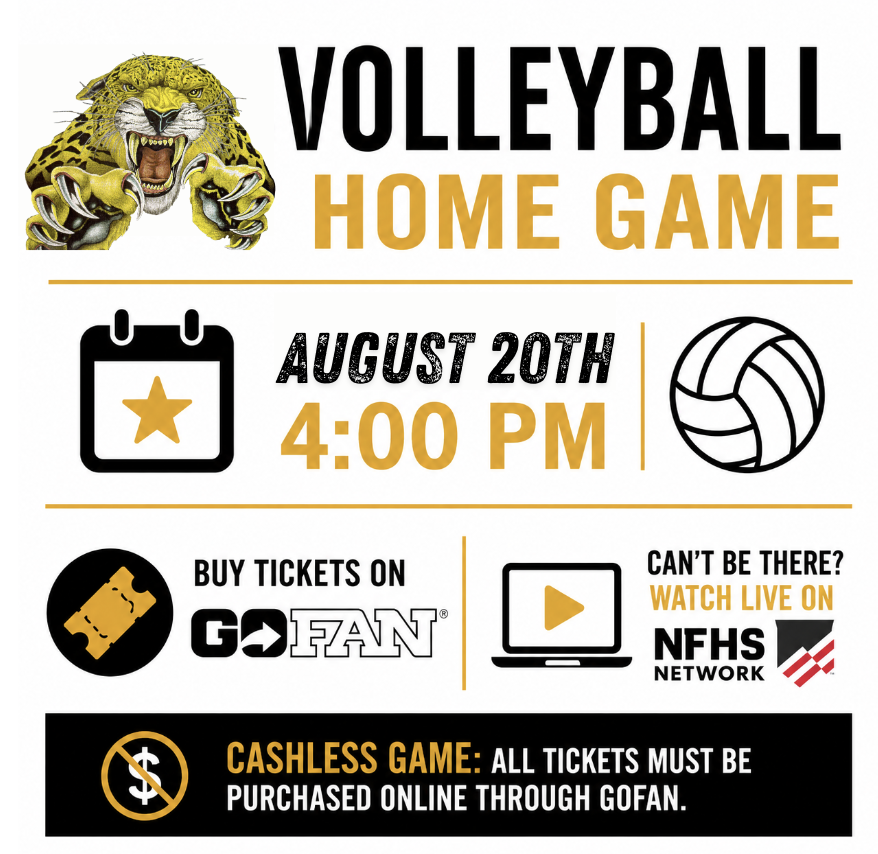 Volleyball Game Flyer