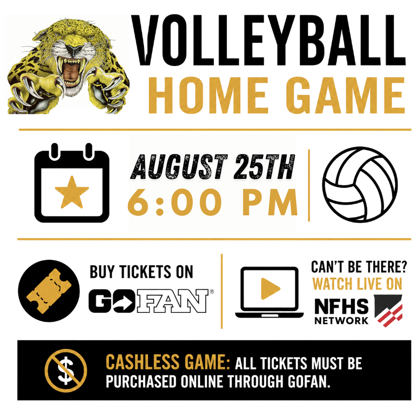 Volleyball Game Flyer