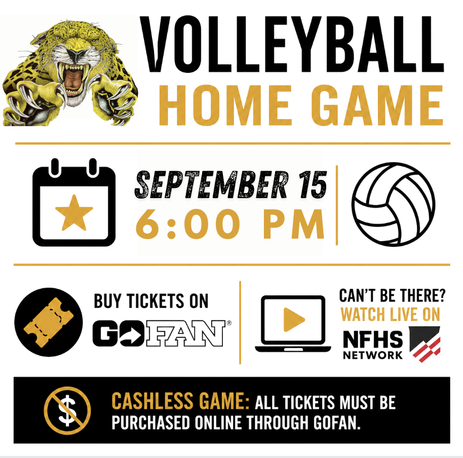 Volleyball Game Flyer