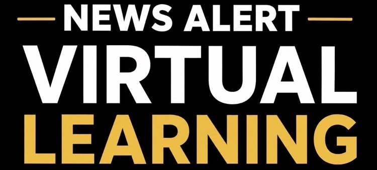 virtual learning 