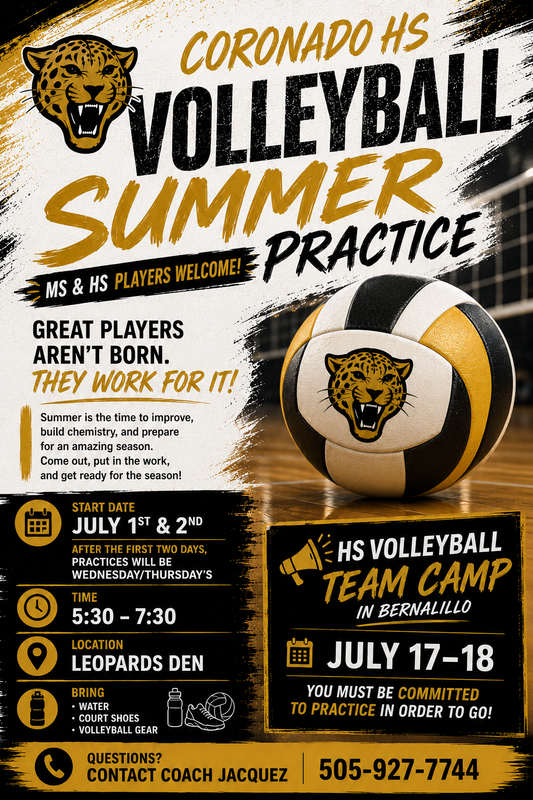 Summer Volleyball Flyer
