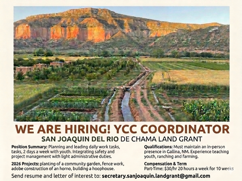 YCC Hiring Coordinator 