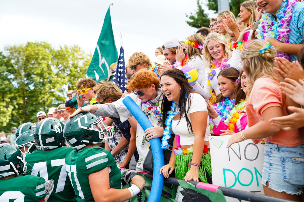 Fans at football game