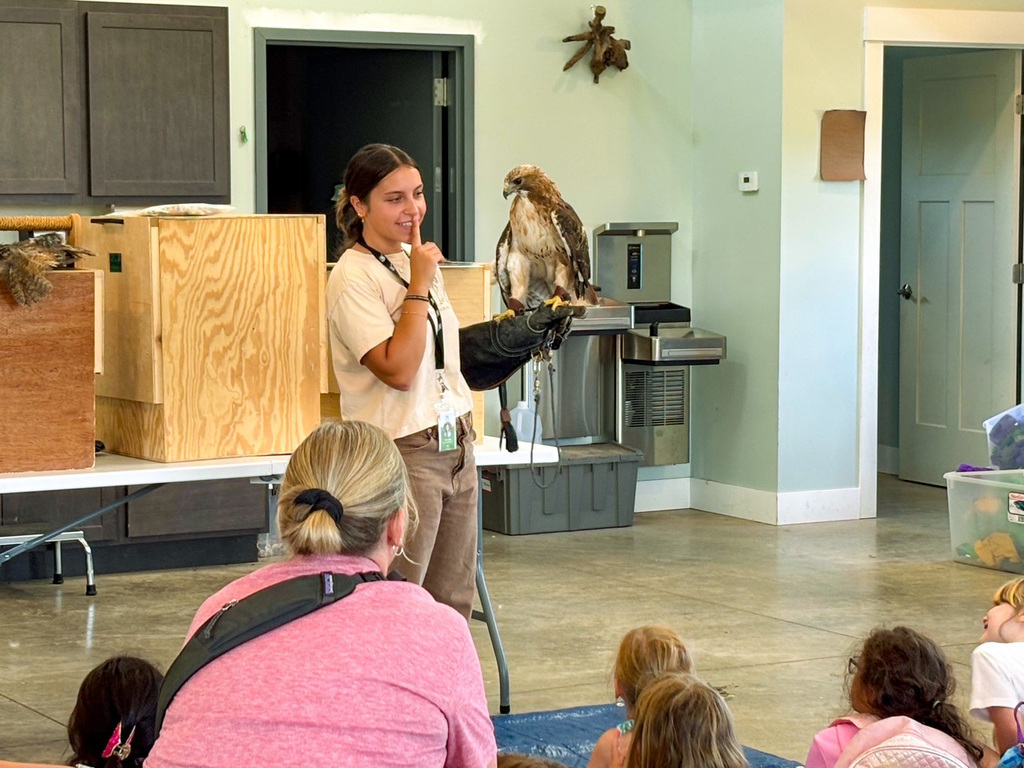 Employee holding a falcon