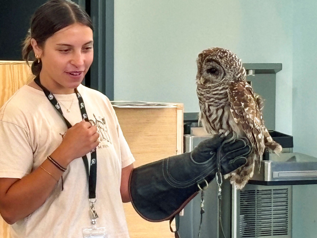 Employee holding an owl