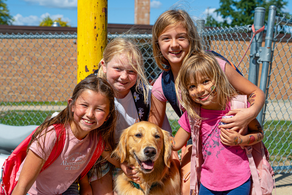 Facility dogs at school