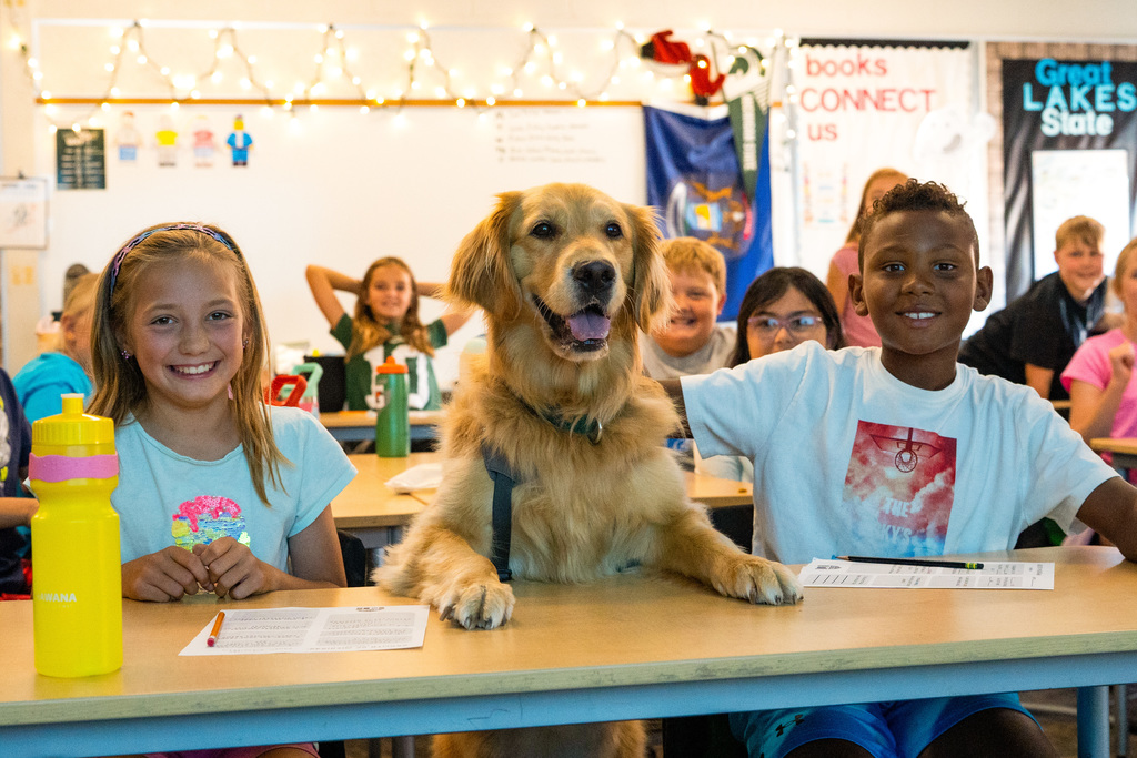 Facility dogs at school