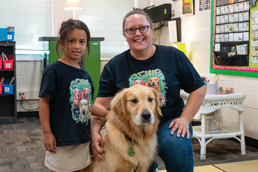 Facility dogs at school