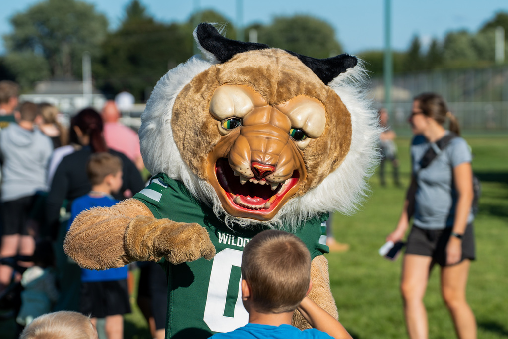 Wildcat mascot