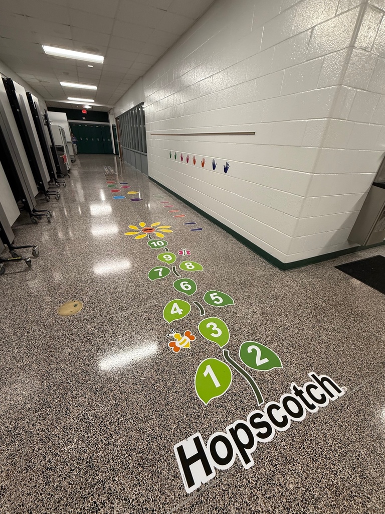Lower Elementary Sensory Path