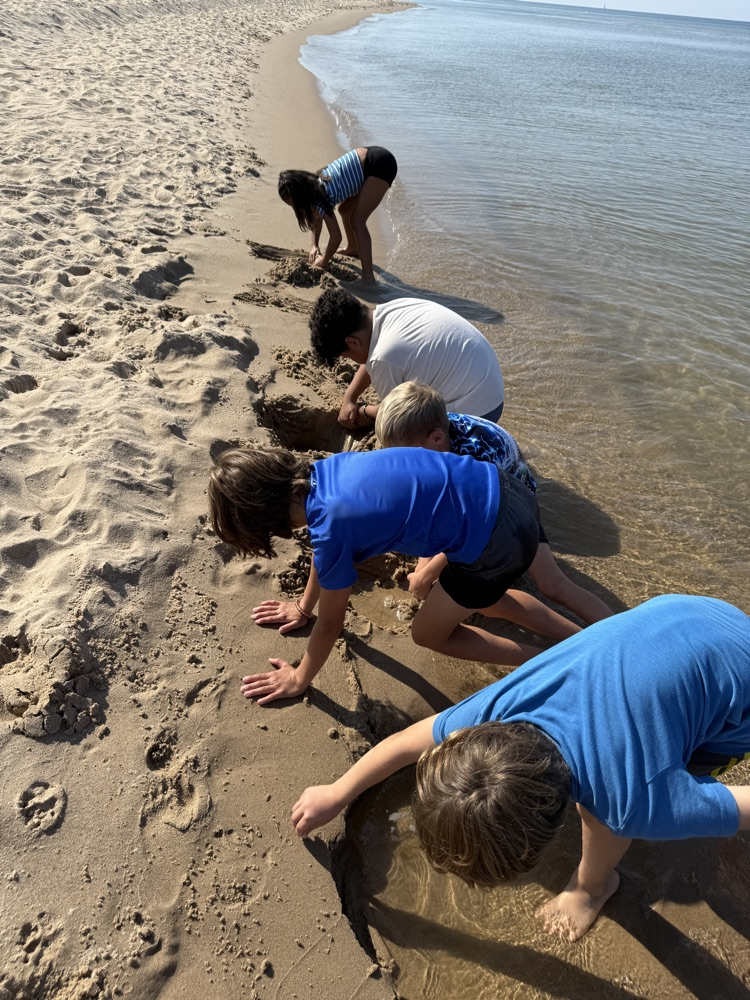 students exploring the shore