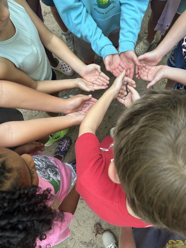 students observing an insect