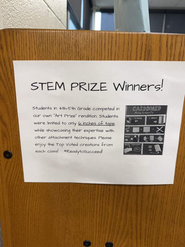 Description of STEM project