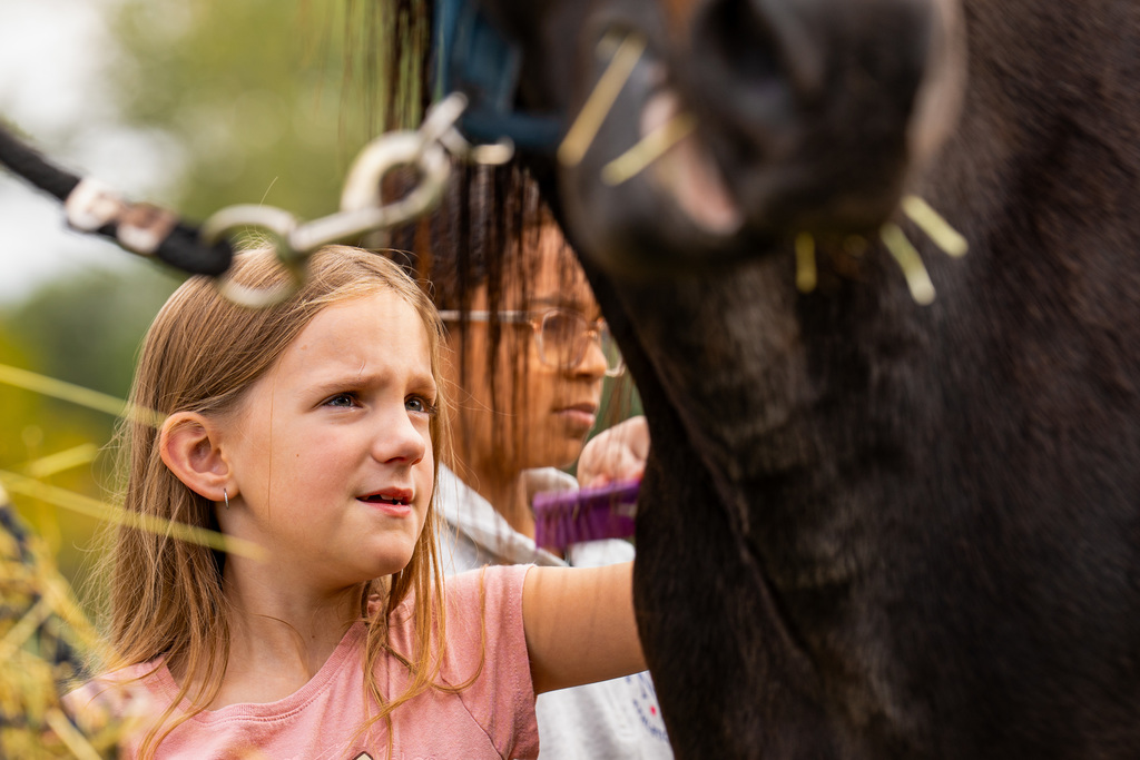 Student petting horse
