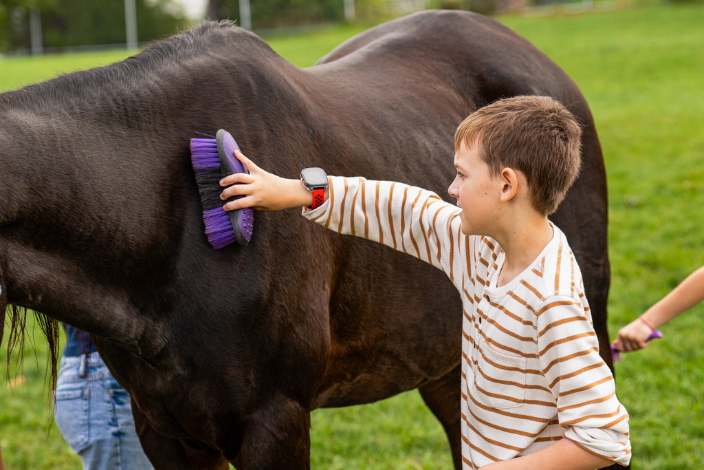 Student cleaning horse