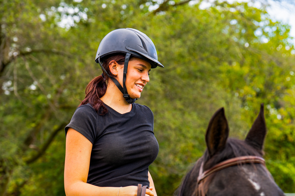 4H riding horse