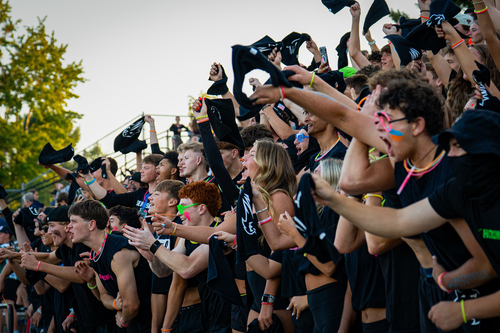 Fans at football game