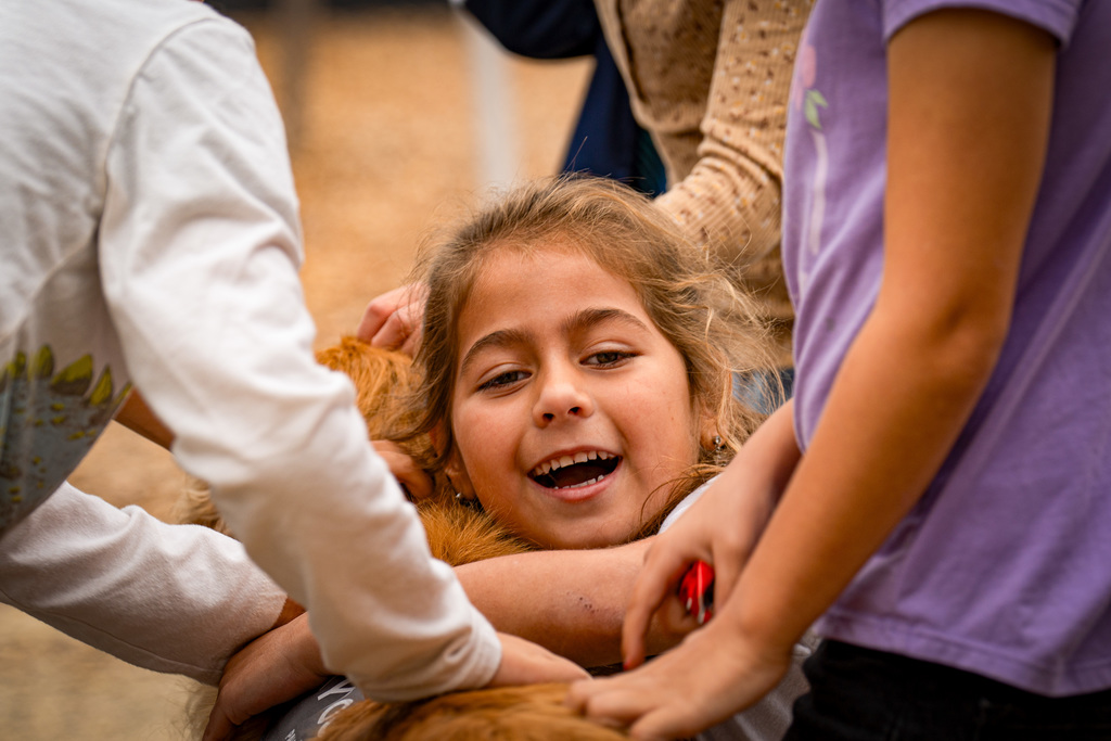 Kids with facility dogs