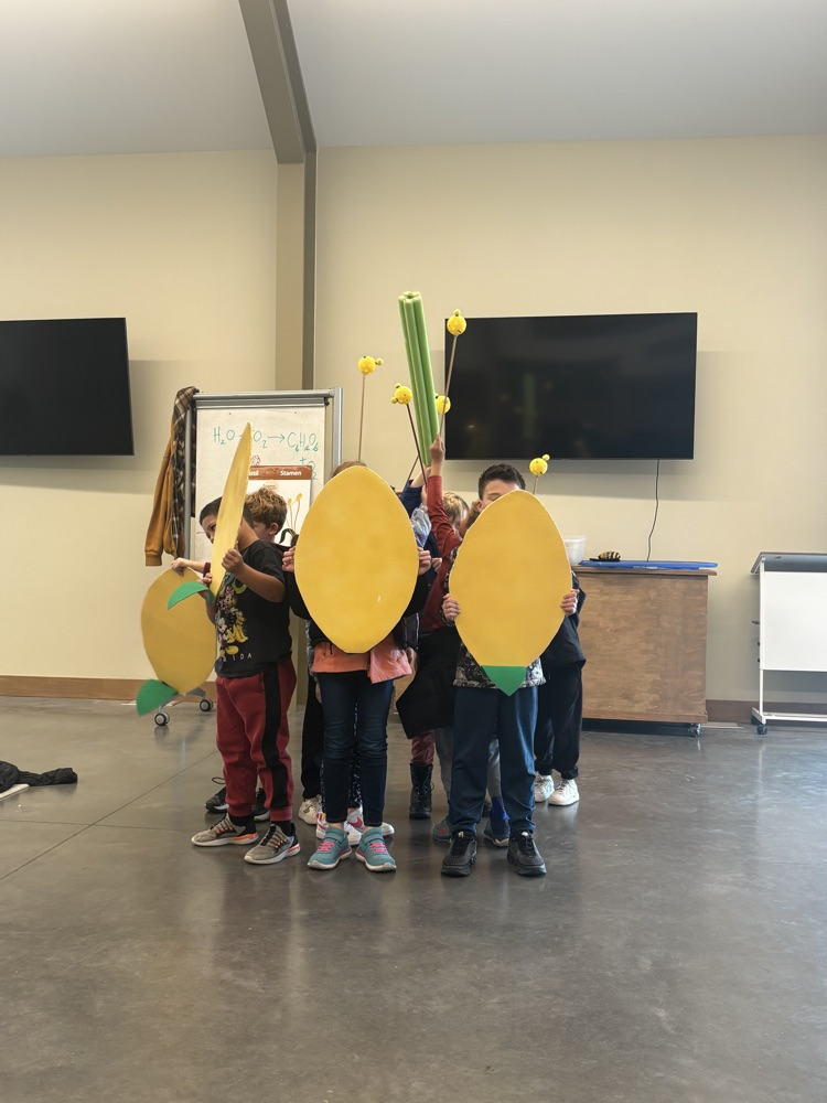 students in learning area