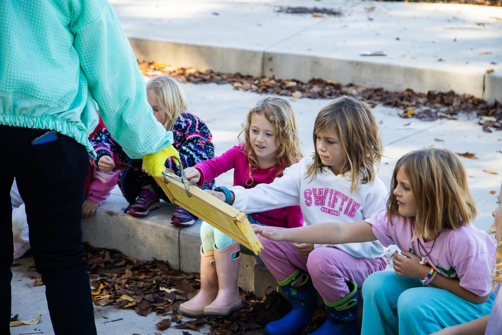Wilderness Academy students enjoying bee demonstration